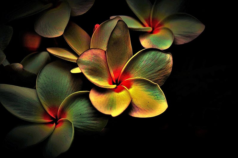 Abstract Design
